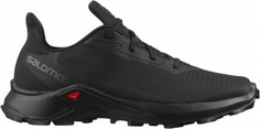 Кроссовки мужские Salomon Alphacross 3, размер 43