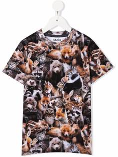 Molo animal-print short-sleeved T-shirt