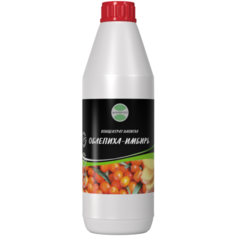 Концентрат напитка Облепиха-имбирь 1кг аверсфуд Aversfood