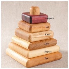 Пирамидка квадратики 6 пород дерева Леснушки