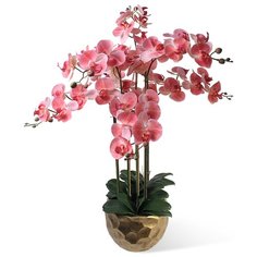 Орхидея Фаленопсис 7 веток в керамическом кашпо полусфера, цвет: темно-розовый Gerard de ros