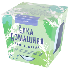 Домашняя елка (криптомерия) набор для выращивания растений Тысяча листьев
