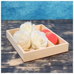 Кашпо деревянное Дарим Красиво 25,5*20*4,5 см, "Макарунас", натуральный