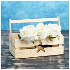 Кашпо деревянное Дарим Красиво 24,5*13,5*9 см, "Двушка Лайт" двухреечное, звезда