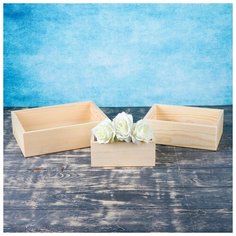 Кашпо деревянное Дарим Красиво 20*11*8,5 см, Элегант "Классик", 3 в 1, массив сосны