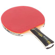 Ракетка для настольного тенниса Torneo Champion