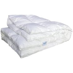Одеяло German Grass White Familie Down, теплое, 200 х 220 см (белый)