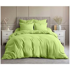 Комплект постельного белья Nova Elegant life сатин, 2 спальный, наволочки 50x70 см, Фисташковый