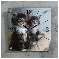 Часы настенные 21 век серия: Животный мир, "Котята", 35*35 см
