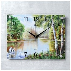Часы настенные 21 век серия: Природа, "Природа", 30*40 см