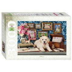 Мозаика "puzzle" 3000 "Любимый хулиган"