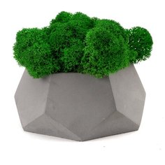 Кашпо бетонное со мхом (альфа-маренго мох зеленый) Oktaur