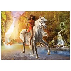 Пазл-1000.ДЕВУШКА НА КОНЕ Danko Toys