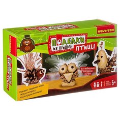 Набор для создания поделок из шишек «птицы», BOX 20,5x12,5x6,5 см ВВ2724 Bondibon
