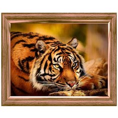 Алмазная мозаика Задумчивый тигр 30х40 см, 27 цв., полн. заполнение, c подр. Рыжий кот