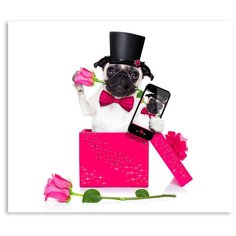 Постер на холсте с подрамником ХитАрт "Сюрприз" 40x34 см