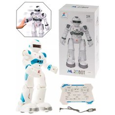 Радиоуправляемый интерактивный робот / Робот / Интерактивная игрушка robor-R4GDBlue-01 Panawealth Inter Holdings