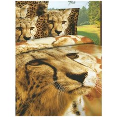 "Постельное белье 1,5 спальное "Волшебные сны", сатин