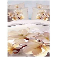 "Постельное белье "Волшебные сны" евро размер , сатин