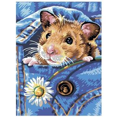 Хомячок Раскраска картина по номерам на холсте