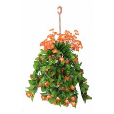 Искусственная петуния в подвесном кашпо Holodilova