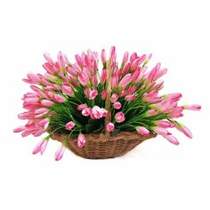 Подснежники в корзине Holodilova