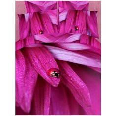 "Постельное белье 2 спальное "Волшебные сны", сатин