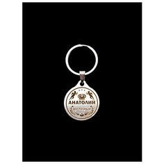 Брелок именной металлический сувенир подарок на ключи гравировка с именем "Анатолий" (Толя) ОптимаБизнес