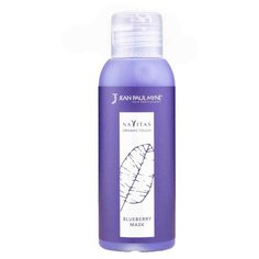 Blueberry (холодный блонд) тонирующая оттеночная маска (нейтрализатор желтизны), 100 мл Jean Paul Myne