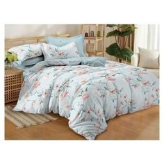 КПБ Cleo Поплин "Pure Cotton" полуторный 145*215*1 150*220*1 70*70*2 15/154-PC