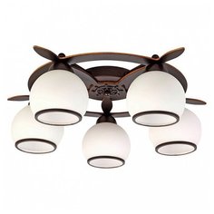 Потолочная люстра Omnilux Fronteira OML-50507-05