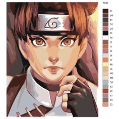 Картина по номерам «Тен-Тен» 40х50 см (T436) Brushes Paints