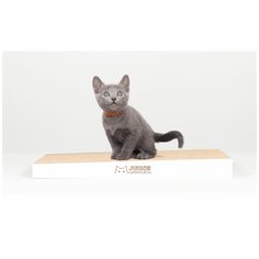 Когтеточка для котят Carton Cat "Junior Slope white", цвет: белый, 40 х 20 х 4 см