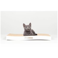 Когтеточка для котят Carton Cat "Junior Curve white", цвет: белый, 40 х 20 х 4 см