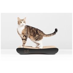 Когтеточка Carton Cat "Infinity XS", цвет: черный, 54 х 24 х 9 см