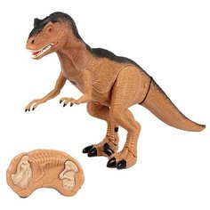 Радиоуправляемый робот динозавр Тираннозавр, Dinosaurs Island Toys RS6122A Тирекс, глаза светятся, ходит, рычит, подвижная голова, пасть, хвост, на пульте управления, 52х29.5х11 см