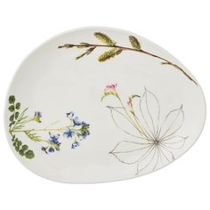 Тарелка обеденная Bronco meadow 474-094 29х23 см, ботаника