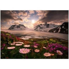 Фотообои PosterMarket WM-26 (Аляска) 254*184 Ш*В