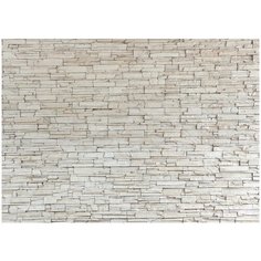 Фотообои PosterMarket WM-22 (Кирпичная стена) 254x184 Ш*В