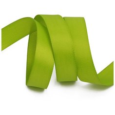 Лента Ideal репсовая в рубчик шир.20мм цв. 548 зеленый киви уп.27,42м
