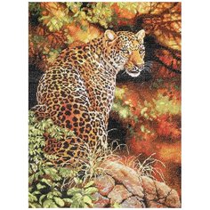 Dimensions Набор для вышивания крестиком Leopards Gaze (Взгляд леопарда) 30 х 41 см (35209)