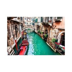 Алмазная мозаика "Перулок Венеции" Рыжий кот