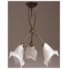 Потолочная люстра светодиодная Lussole Astoria GRLSP-8309