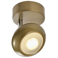 Спот светодиодный TopLight Carissa TL1244Y-01SG