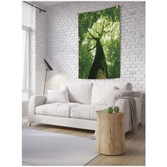 Панно (постер) с фотопринтом на стену "Солнечное дерево", 100x150 см Joy Arty