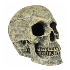 Декорация для аквариума AQUA DELLA "Череп", серый, 16x10.5x13.2см (Бельгия)