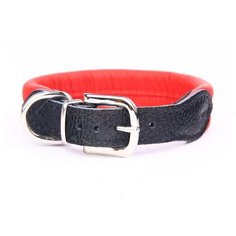 Ошейник для собак ZOOLESZCZ "Soft", красный, 55х3см