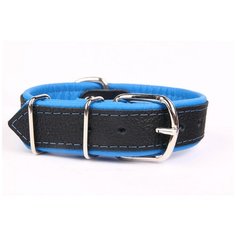 Ошейник для собак ZOOLESZCZ "Neo", черно-голубой, 35х2см