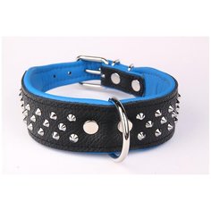 Ошейник для собак ZOOLESZCZ "Studs", черно-голубой, 45х4см