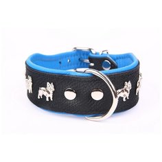 Ошейник для собак ZOOLESZCZ "Super French Bulldog", черно-голубой, 50х4см